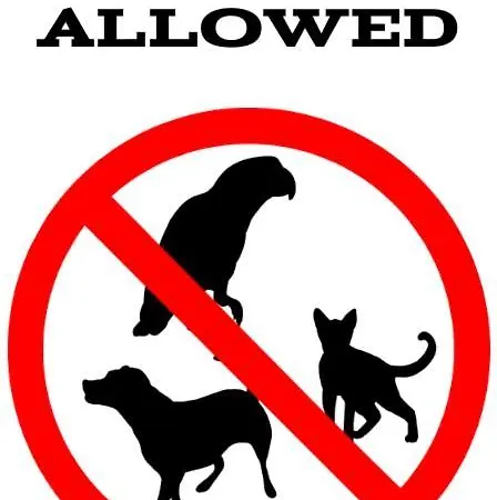 Διαμέρισμα - Wiosenny Zeromskiego *